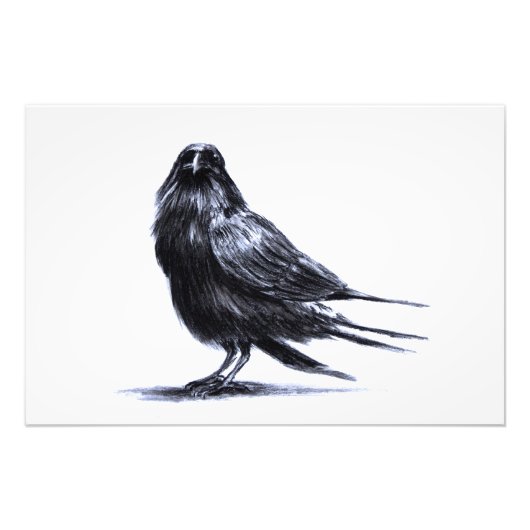 Black Raven Foto Afdruk (Voorkant)