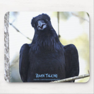 BLACK RAVEN PRATEN MUISMAT