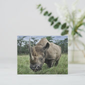 Black Rhinoceros | Kenia Briefkaart (Staand voorkant)
