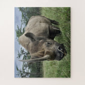 Black Rhinoceros | Kenia Legpuzzel (Verticaal)
