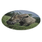 Black Rhinoceros | Kenia Snijplank (Hoek)