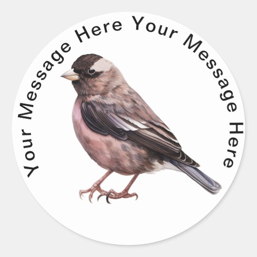 Black Rosy Finch Ronde Sticker (Voorkant)