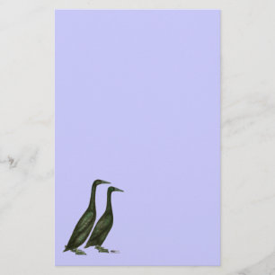 Black Runner Ducks Briefpapier