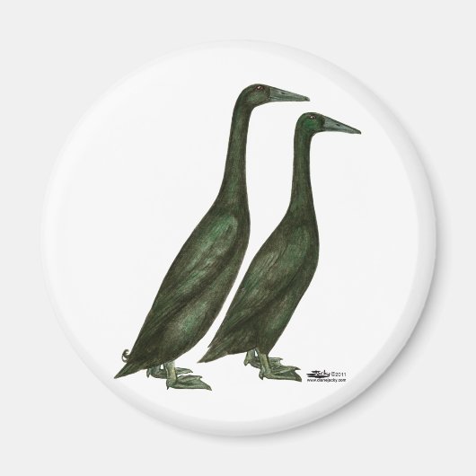 Black Runner Ducks Magneet (Voorkant)