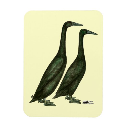 Black Runner Ducks Magneet (Verticaal)