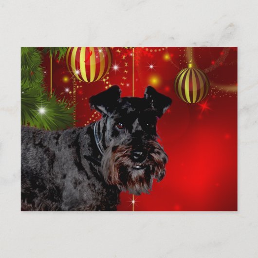 Black Schnauzer Kerstmis Feestdagenkaart (Voorkant)