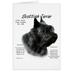 Black Scotty Geschiedenis