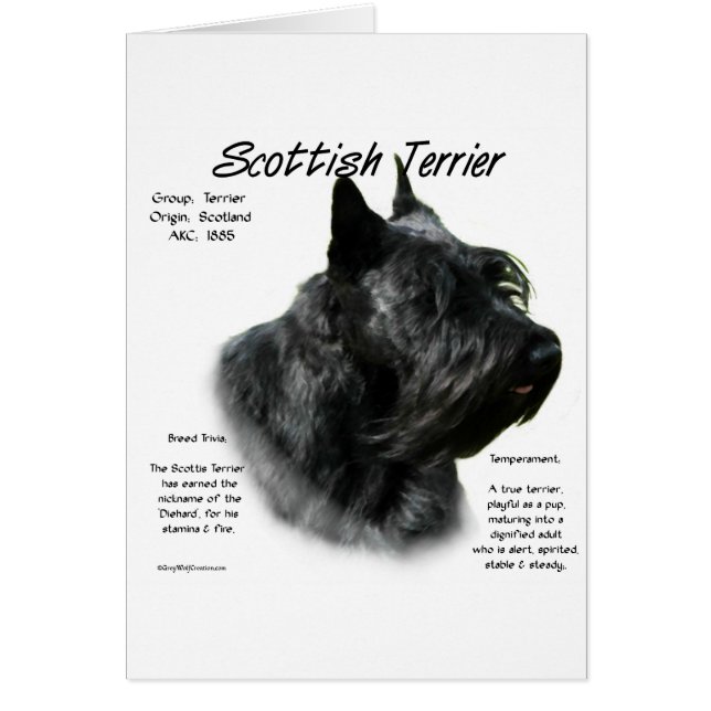 Black Scotty Geschiedenis (Voorkant)