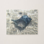 Black Seashell Legpuzzel (Horizontaal)