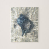 Black Seashell Legpuzzel (Verticaal)