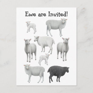 Black Sheep Invitation Kaart