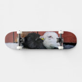 Black Sheep White Sheep Skateboard (Horz)