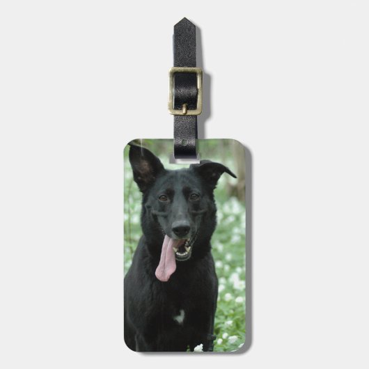 Black Shepherd Bagagelabel (Voorkant verticaal)