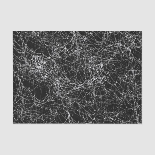 Black & Silvery Spider Webs Chic Halloween Party Tissuepapier (Voorkant)