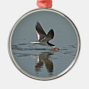 Black Skimmer Photo Metalen Ornament