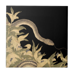 Black Snake Tegeltje