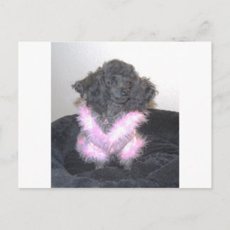 Black Speelgoed Podle in Pink Sweater oh la la Briefkaart