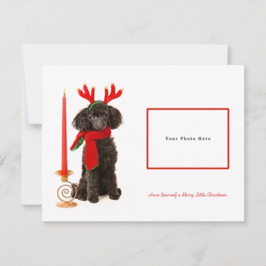 Black Speelgoed Poodle Merry kerst Feestdagenkaart (Voorkant)