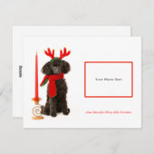 Black Speelgoed Poodle Merry kerst Feestdagenkaart (Voorkant / Achterkant)