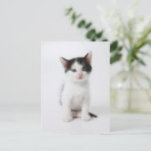 Black Spotted Kitten Briefkaart (Staand voorkant)