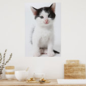 Black Spotted Kitten Poster (Keuken)