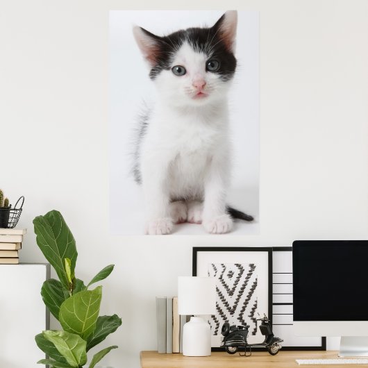 Black Spotted Kitten Poster (Thuiskantoor)