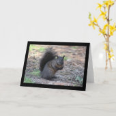Black Squirrel Wenskaart Kaart (Gele Bloem)