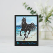 Black Stallion Arabe carte postale (Debout devant)