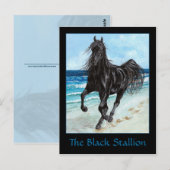 Black Stallion Arabe carte postale (Devant / Derrière)