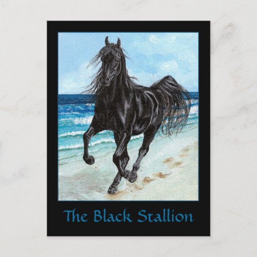 Black Stallion Arabe carte postale (Devant)