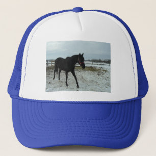 Black Stallion Beauty Trucker Pet