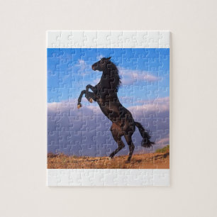 Black Stallion Horse Legpuzzel