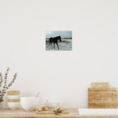 Black Stallion Horse Poster (Keuken)