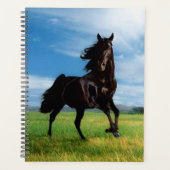 Black Stallion Planner (Voorkant)