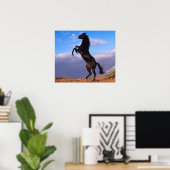 Black Stallion Poster (Thuiskantoor)