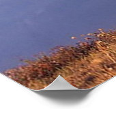 Black Stallion Poster (Hoek)