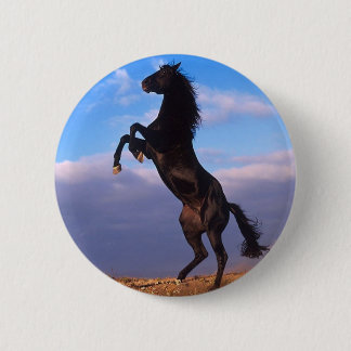 Black Stallion Ronde Button 5,7 Cm
