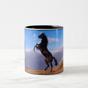 Black Stallion Tweekleurige Koffiemok