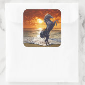 Black Stallion Vierkante Sticker (Tas)