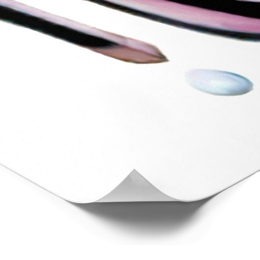 Black Stiletto Shoe and Champagne Print (Hoek)