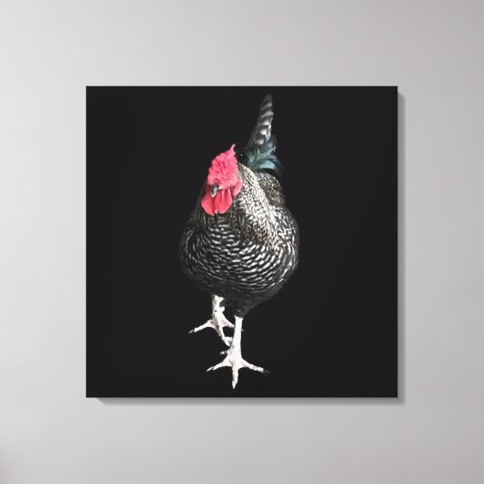 Black Strutting Cocreet nr. 3 Canvas Afdruk (Voorkant)