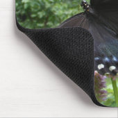 Black Swallowtail 69 ~ mousepad Muismat (Hoek)