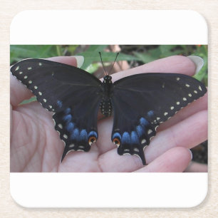 Black Swallowtail Butterfly #1 Vierkante Kartonnen Onderzetter