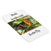 Black Swallowtail Butterfly #2 Magneet (Rechterzijde)