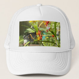 Black Swallowtail Butterfly #2 Trucker Pet