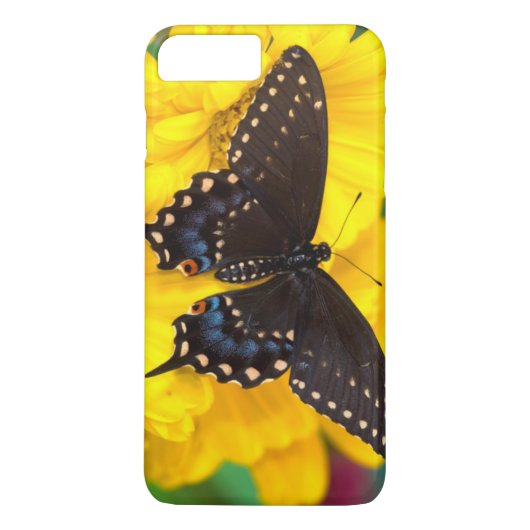 Black Swallowtail butterfly Case-Mate iPhone Case (Achterkant)