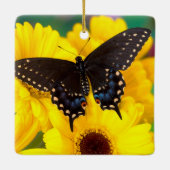 Black Swallowtail butterfly Keramisch Ornament (Achterkant)