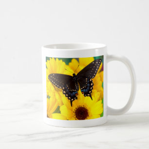 Black Swallowtail butterfly Koffiemok
