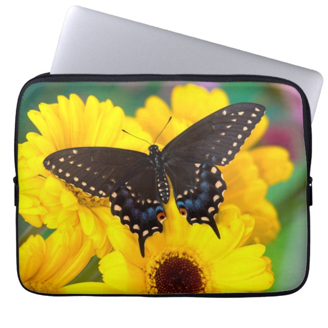 Black Swallowtail butterfly Laptop Sleeve (Voorkant)