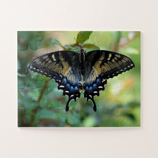 Black Swallowtail butterfly Legpuzzel (Horizontaal)